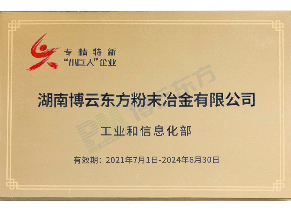 National expertise "Little Giant"